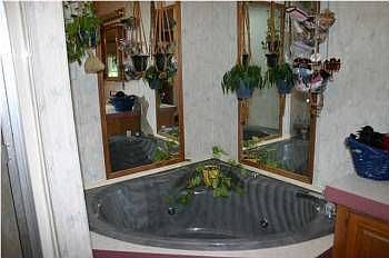 5th image of 3332 Croton Dr
