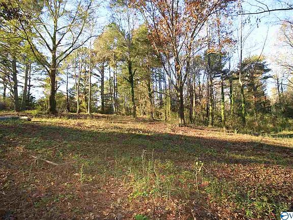 2nd image of 0 County Road 1233
