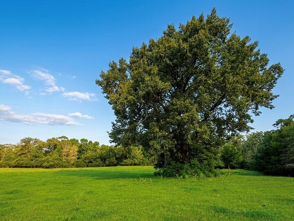 1st image of County Road 223