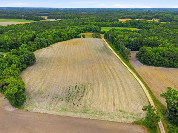 Tbd Pig Palace Lane, Council, NC 28434