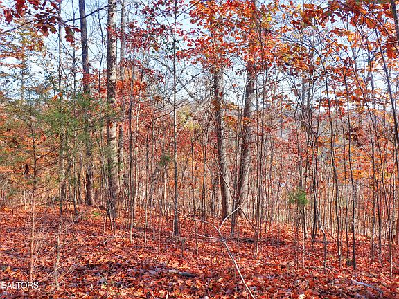 5th image of LOT 190 Hickory Way