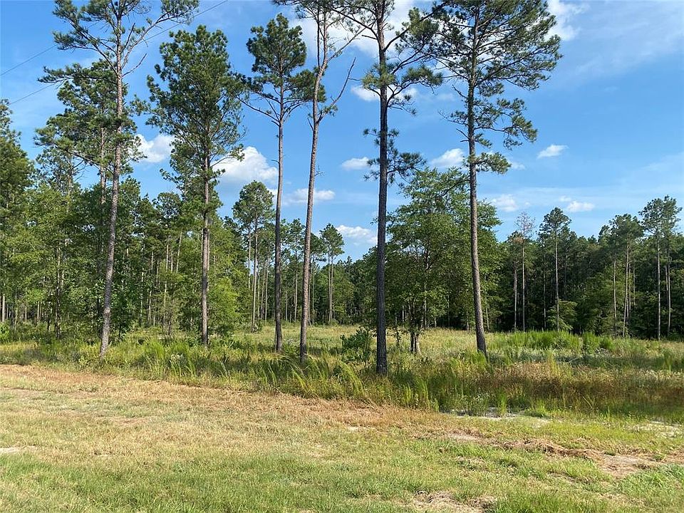 LOT 35 Rolling Pines Dr, Livingston, TX 77351 MLS 59162637 Zillow