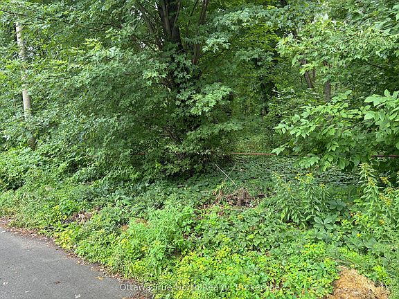 3rd image of 101 Allbirch Rd