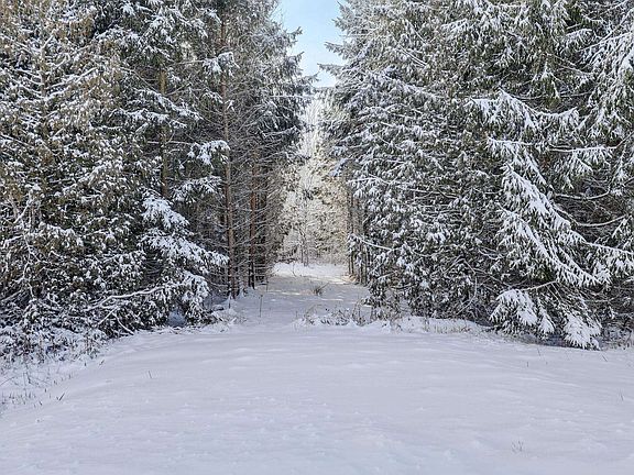 5th image of W1201 County Road Cw