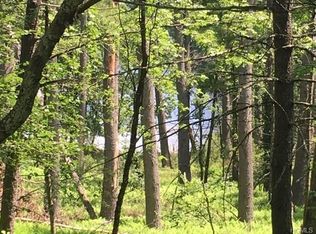 66 Beaver Brook Rd, Yulan, NY 12792