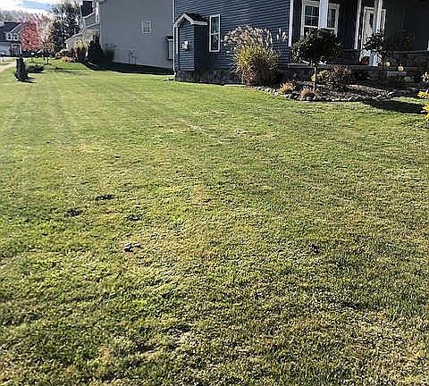 5th image of 7601 Oakwilde Dr