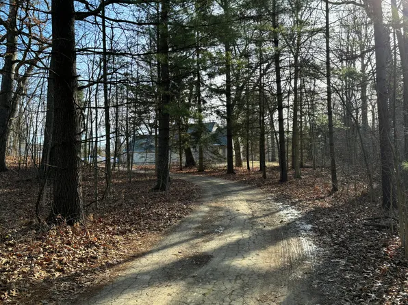 11555 Bellman Rd, Grass Lake, MI 49240