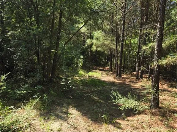 Weinberger Rd, Ponchatoula, LA 70454