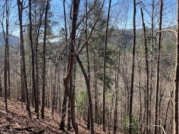 Jason Ct Lot 1775, Ranger, GA 30734