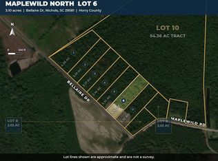 TBD Bellaire Dr. Lot 6, Nichols, SC 29581
