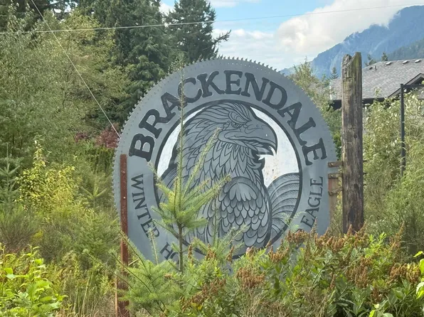41747 Government Rd, Squamish, BC V0N 1H0