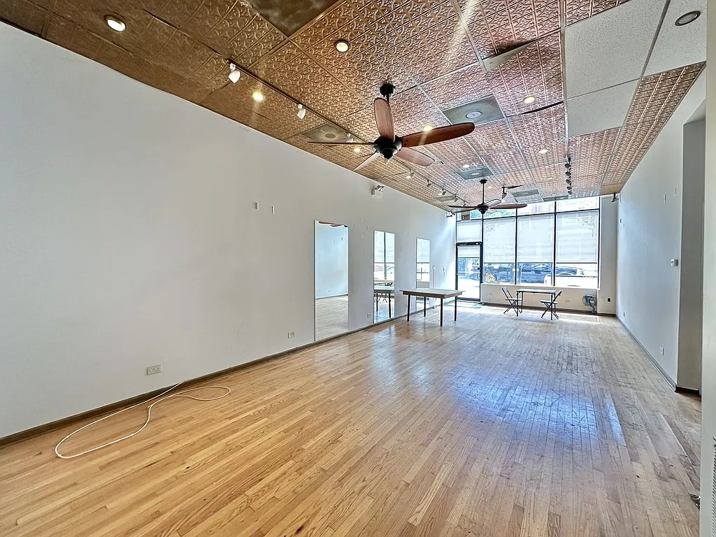 Attractive Studio, 1 Bath at Chicago + Hoyne (Ukrainian Village) — Photo 2