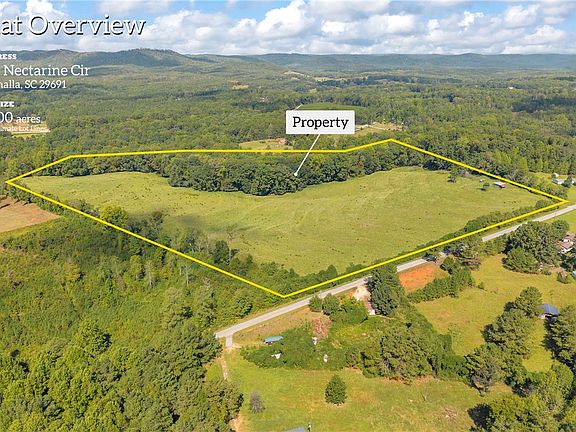 2nd image of 104 Nectarine Cir