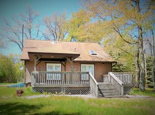 3366 Wolf Lake Dr, Baldwin, MI 49304