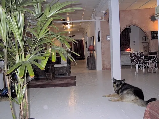 Rented by Stribling | media 3