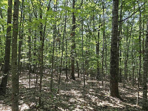 3rd image of 406-19 Guinea Ridge Road
