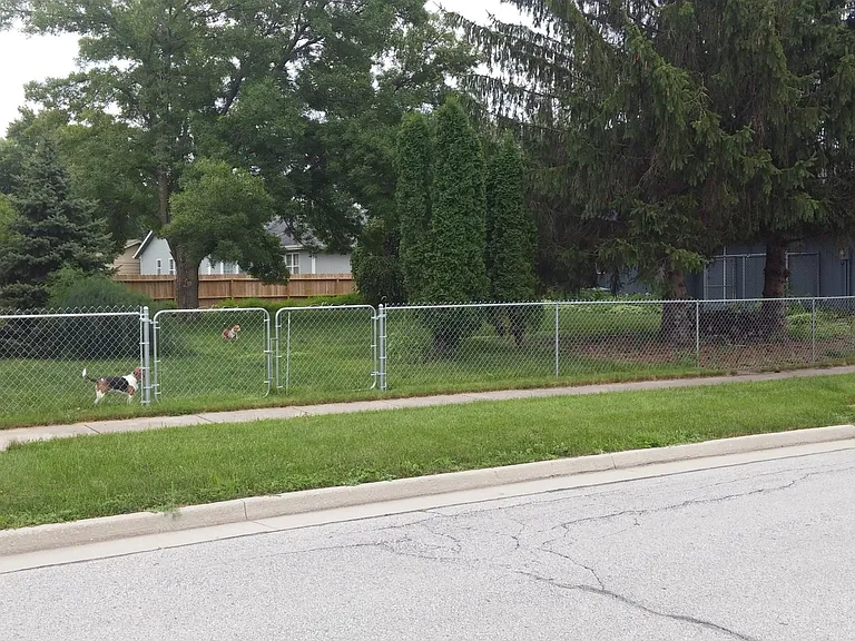 1929 Buchanan Dr — Photo 14