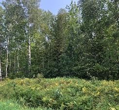 1st image of County Road 60