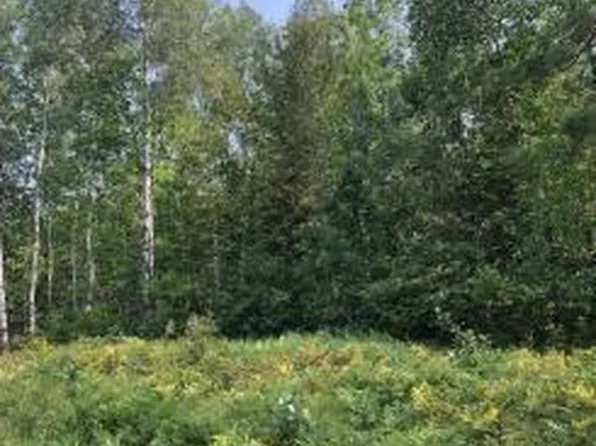 County Road 60, Bovey, MN 55709