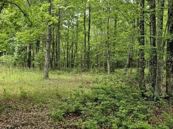 2 Lake Trl #336 & 32, Dunlap, TN 37327