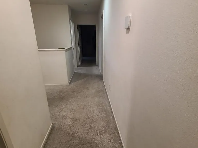 1420 Allium Ct — Photo 14