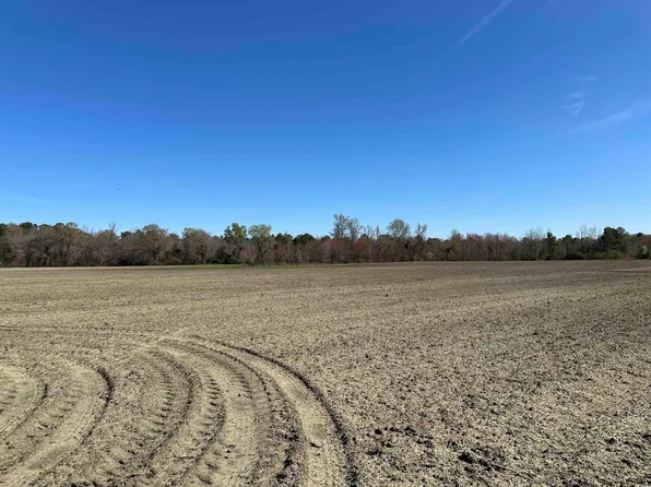 TBD Spamm Rd., Greeleyville, SC 29056