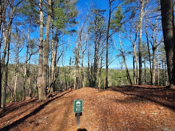 153 Red Oak Trl, Ellijay, GA 30540