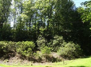 264 Farmers Cove Rd, Whittier, NC 28789