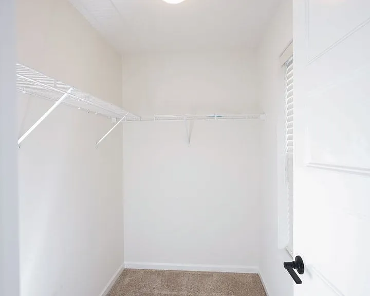 245 Hollyhock Dr — Photo 44
