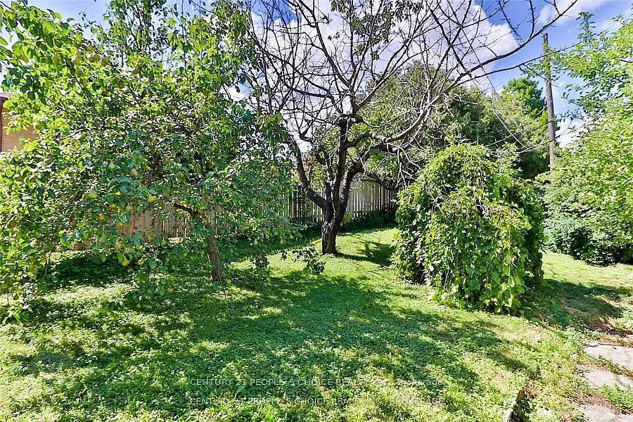 3 bed, $3,000 — Photo 4