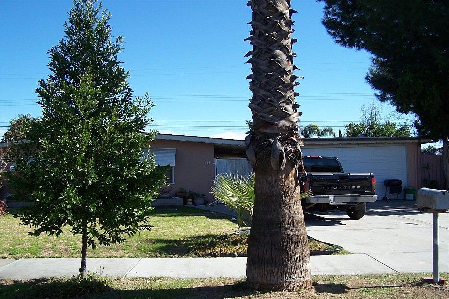 1st image of 444 Camellia Ave