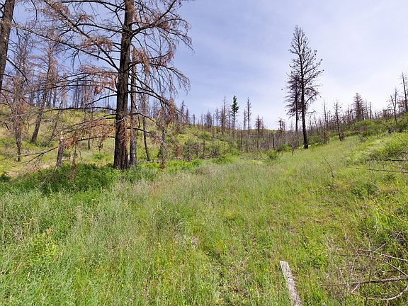 3rd image of 185 Lower Lamaraux Creek Rd