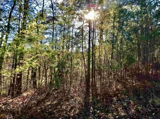 1039 Astro Ct NE #1039, Ranger, GA 30734