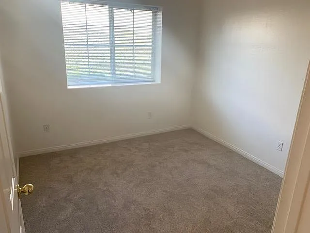 3663 Pine Meadow Dr — Photo 14