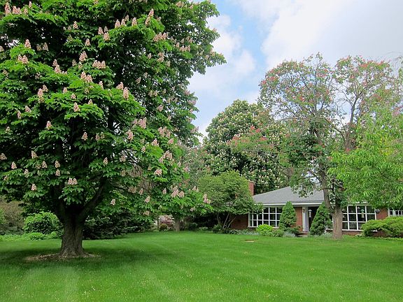 2nd image of 30585 Vernon Dr