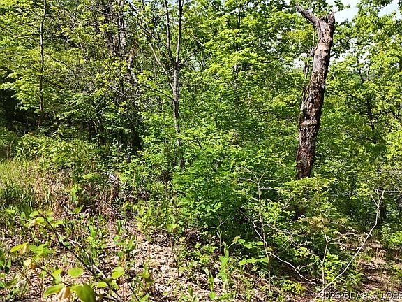 5th image of TRACT Lake Forest Estates Rd #B