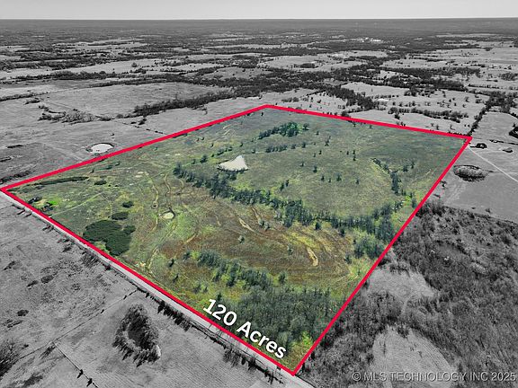 2nd image of Chicken Fight Rd