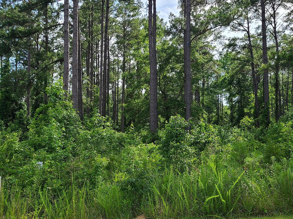 2nd image of 124 Cedarwood