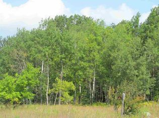 0 45 1/2 Rd, Cadillac, MI 49601