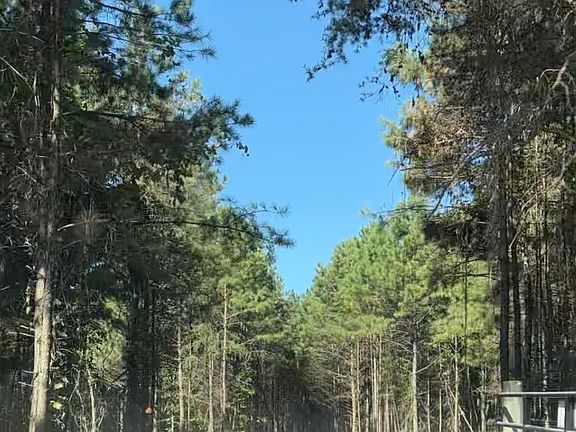 2nd image of 2 W Dry Pond Rd Lot 2