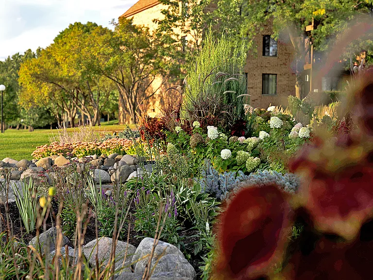 Beautiful community landscaping