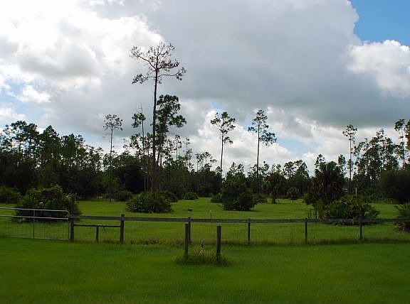 Fenced pasture for the horses