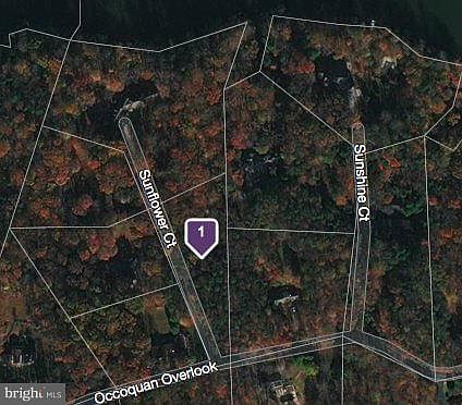 2nd image of 4619 Sunflower Ct
