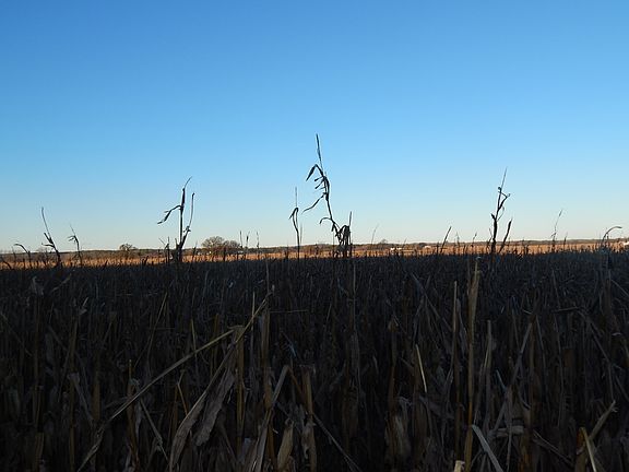 4th image of L1 Bass Lake Rd