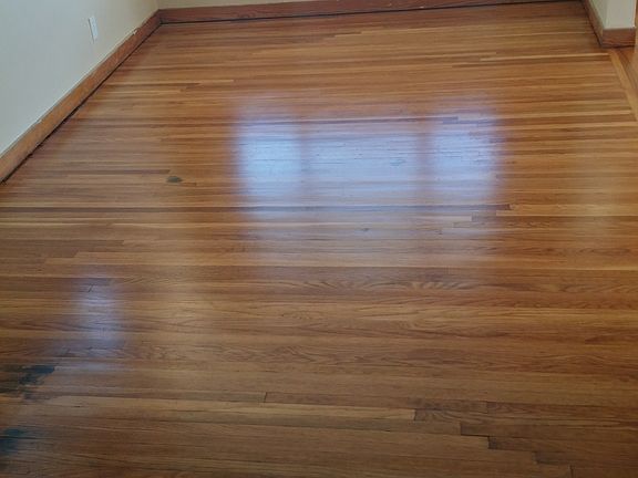 3rd image of 49 Elmview Ave
