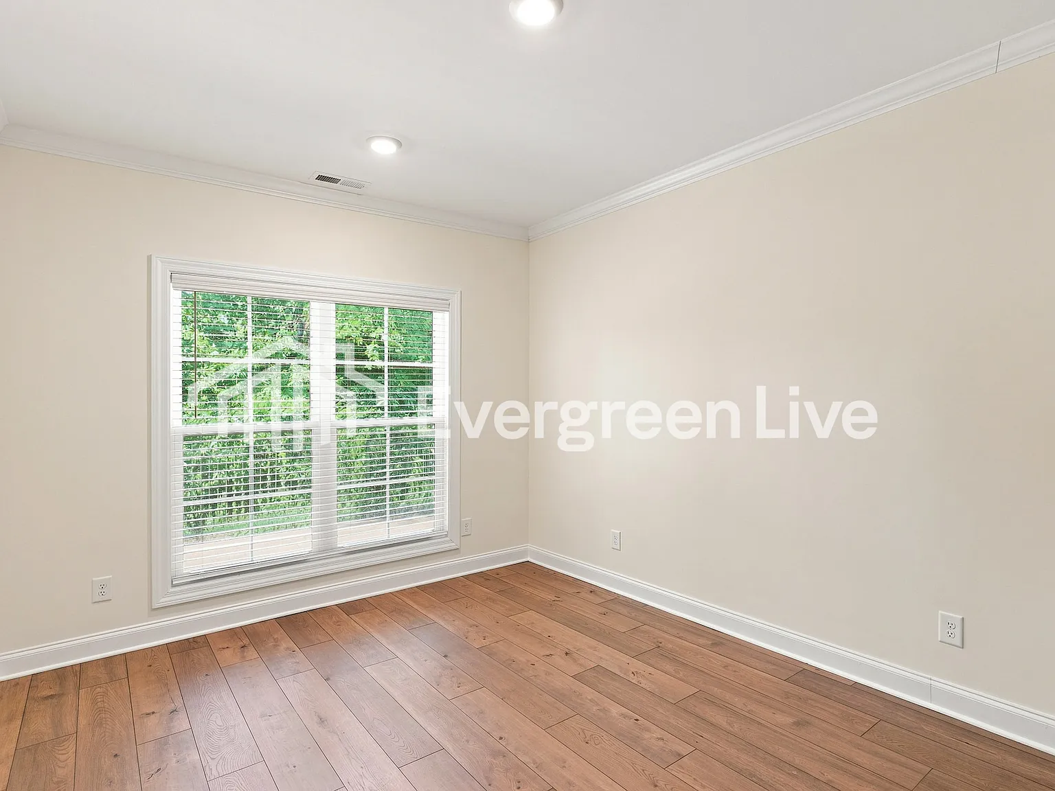 4 bed, 2.5 bath, 1924 sqft, $2,145 — Photo 4
