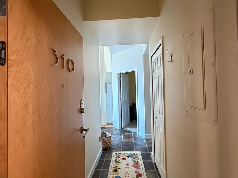 101 W Liberty #310 — Photo 2