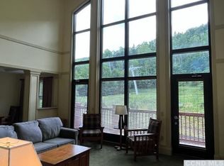 62 Liftside Dr #PENTHOUSE, Hunter, NY 12442