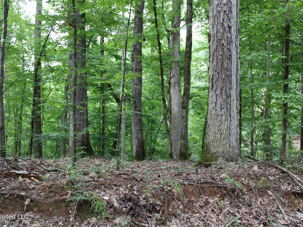 4000 Perry Creek Rd, Yazoo City, MS 39194