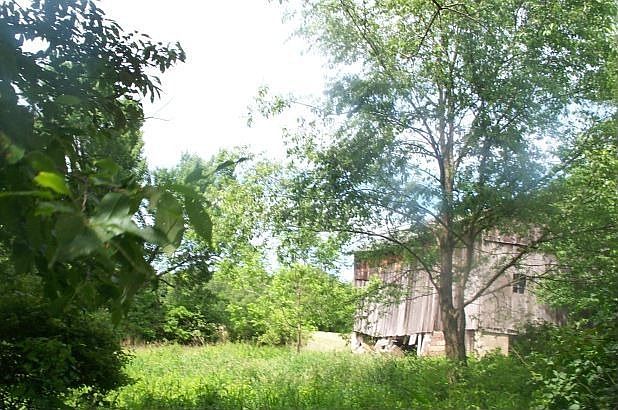 2nd image of 921 Scrubgrass Rd